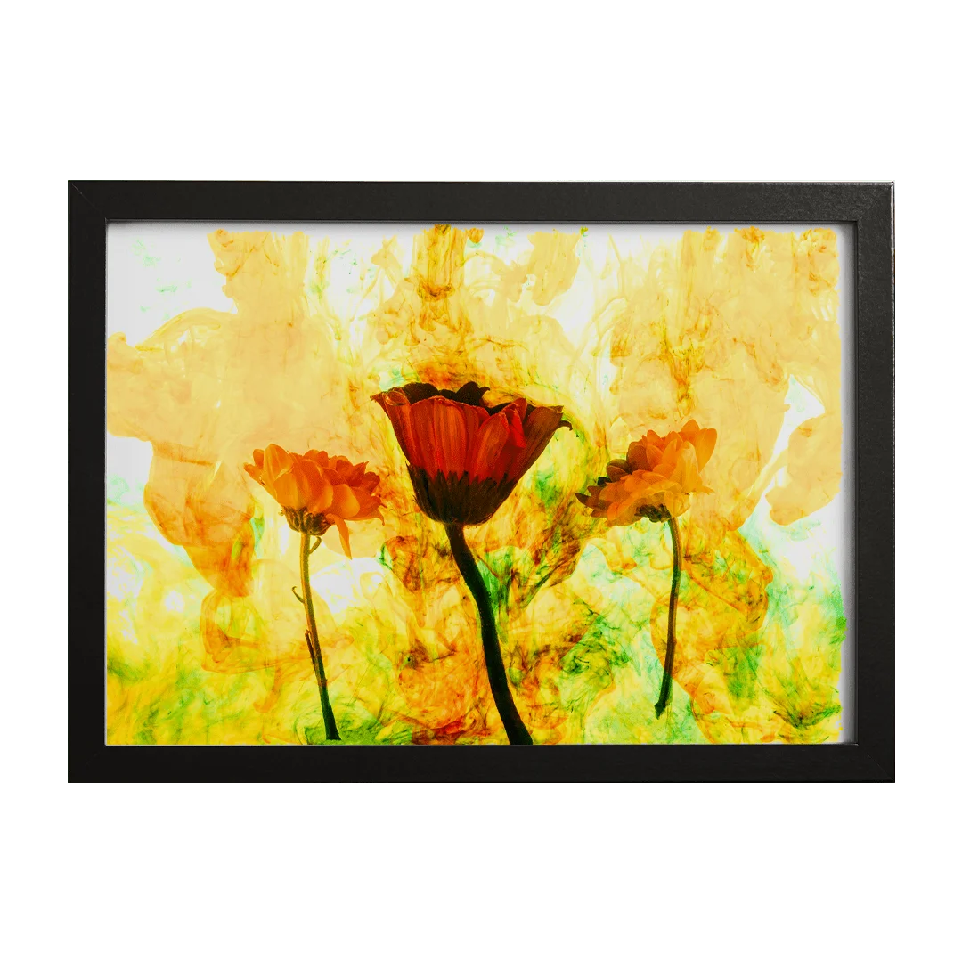 golden-blossoms1-velariontika