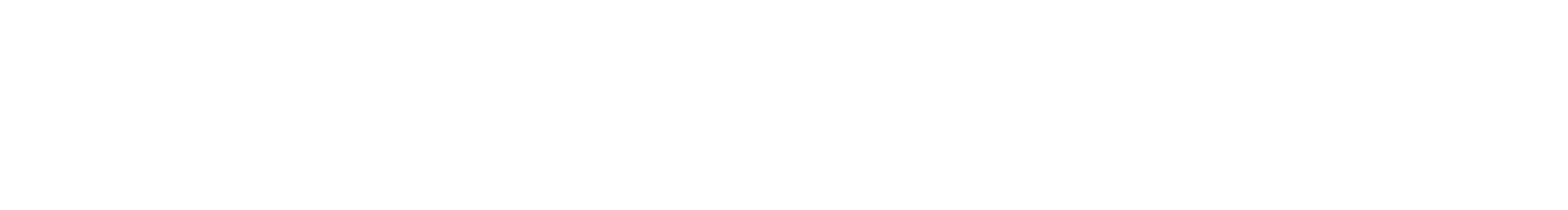 white-logo-velariontika